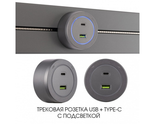 Розетка USB и type C на треке Arte Milano Am-track-sockets-39 399731TS/USB-Type-C Grey