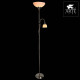 Торшер с подсветкой Arte Lamp Duetto A9569PN-2SS