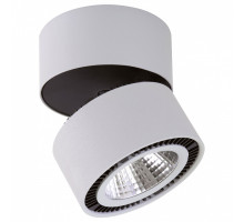 Светильник на штанге Lightstar Forte Muro LED 213839