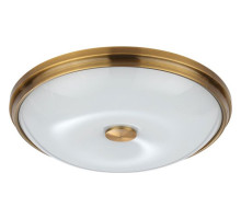 Накладной светильник Odeon Light Pelow 4956/4