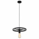 Подвесной светильник TopLight Vanessa TL1201H-01BK