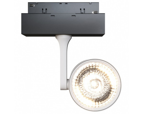 Светильник на штанге Maytoni Track lamps 3 TR024-2-10W4K