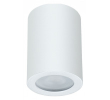 Накладной светильник Arte Lamp Tino A1468PL-1WH