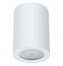 Накладной светильник Arte Lamp Tino A1468PL-1WH