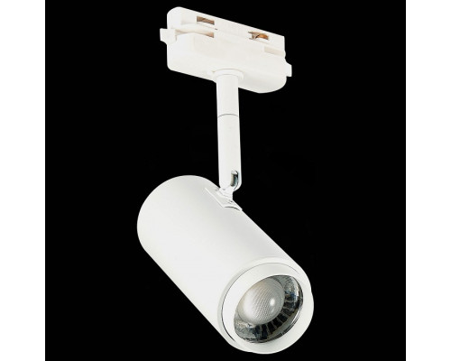 Светильник на штанге ST-Luce Zoom ST600.536.12