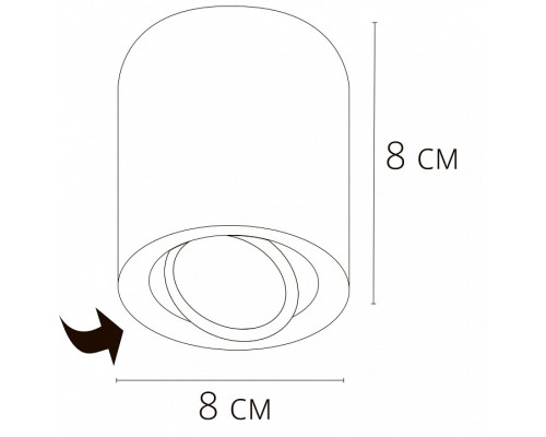 Накладной светильник Arte Lamp Beid A1513PL-1BK