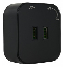 Розетка 2xUSB на треке Arte Milano Am-track-sockets 380022TS/USBx2 Black