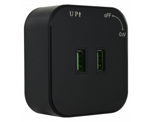 Розетка 2xUSB на треке Arte Milano Am-track-sockets 380022TS/USBx2 Black