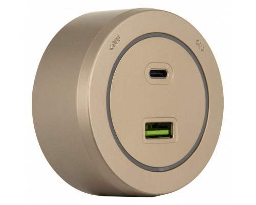 Розетка USB и type C на треке Arte Milano Am-track-sockets-39 399731TS/USB-Type-C Gold