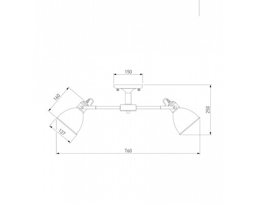 Люстра на штанге Eurosvet Denley 70112/8 черный