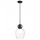 Подвесной светильник Odeon Light Blacky 2 5023/1