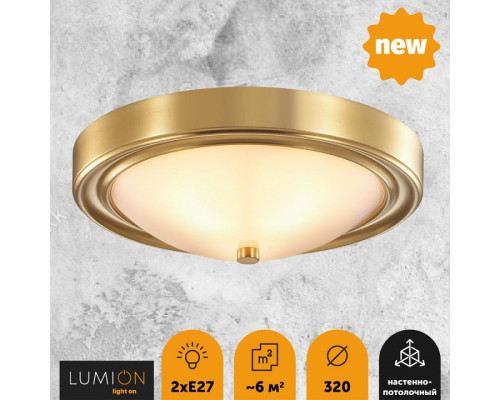 Накладной светильник Lumion Nina 5259/2C